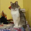 Отзыв от Алла Воронина
